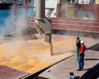 Export of feed corn, FOB black sea ports, CIF any port in the world