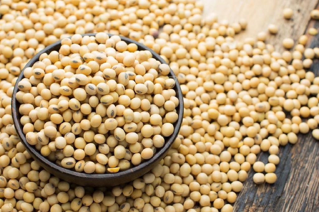 GMO soy, Protein 42%, 350 tons.